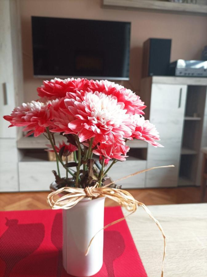 Iva Centar Daire Valjevo Dış mekan fotoğraf